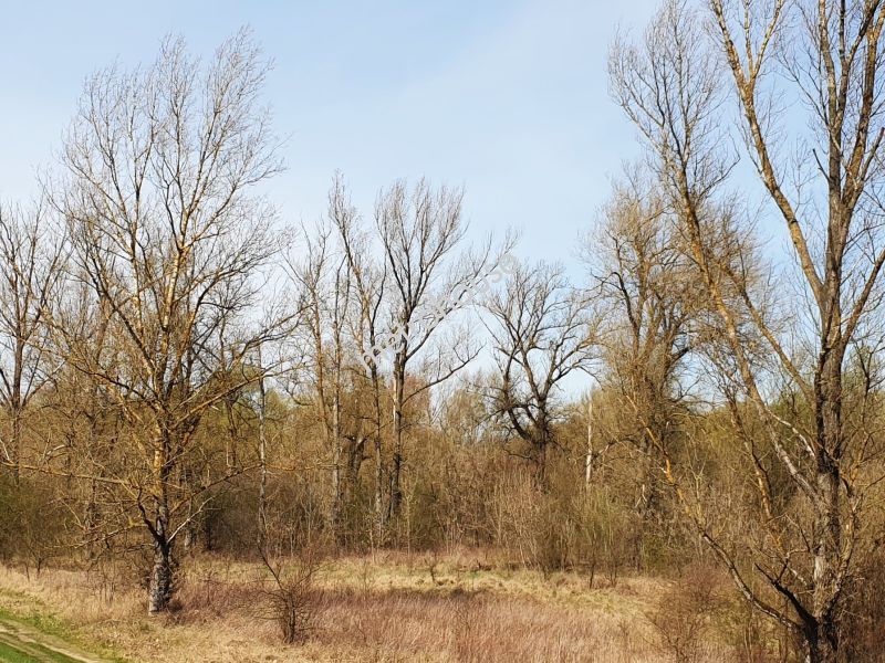 Dom na sprzedaż, Nowodworski, Stare Grochale
