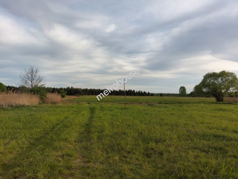 Działka na sprzedaż, Trzebnicki, Skoroszów
