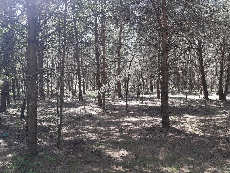Działka na sprzedaż, Bialski, Wólka Kościeniewicka