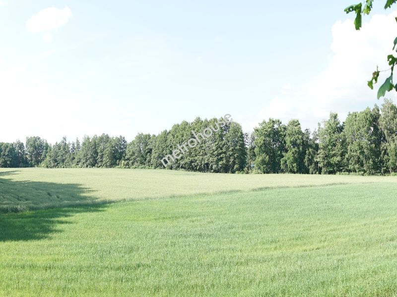 Działka na sprzedaż, Tucholski, Wielki Mędromierz