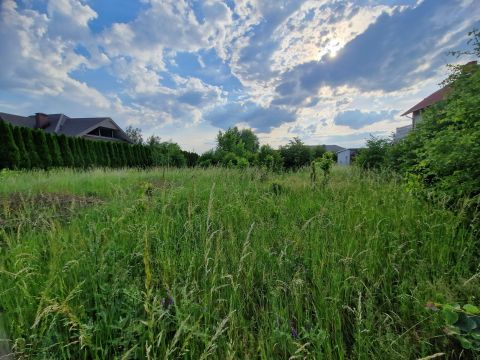 Sprzedaż Działka Borówno, pow. golubsko-dobrzyński