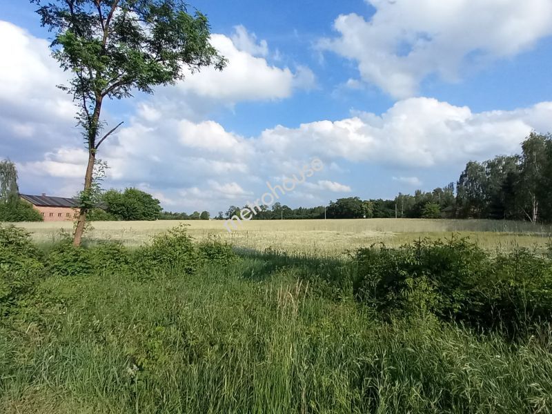 Działka na sprzedaż, Zduńskowolski, Lichawa, Lichawa-Parcela