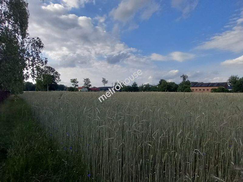 Działka na sprzedaż, Zduńskowolski, Lichawa, Lichawa-Parcela