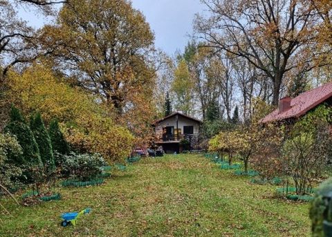 Sprzedaż Dom Popielarze, Radzymin, pow. wołomiński