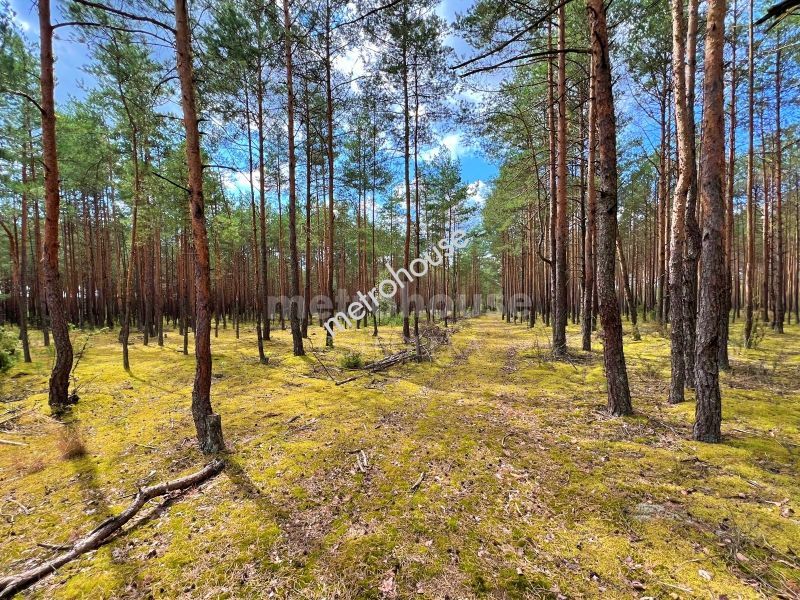 Działka na sprzedaż, Ostrołęcki, Wykrot