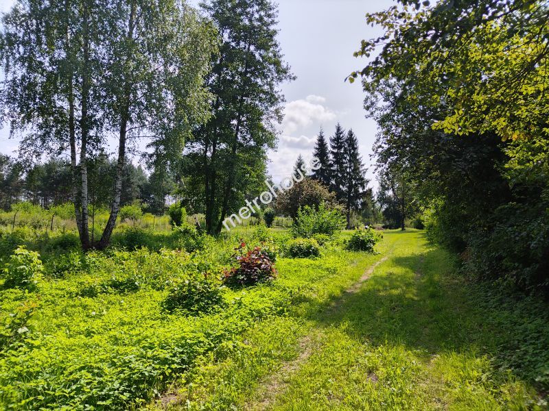 Działka na sprzedaż, Kielecki, Kranów