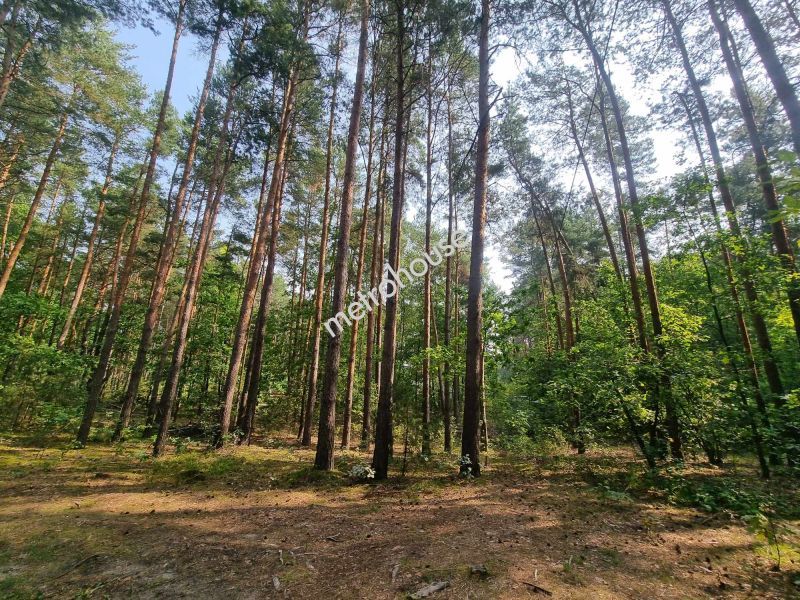 Działka na sprzedaż, łosicki, Mierzwice-Kolonia