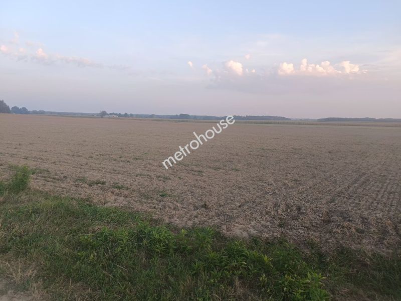Działka na sprzedaż, Sokołowski, Kupientyn