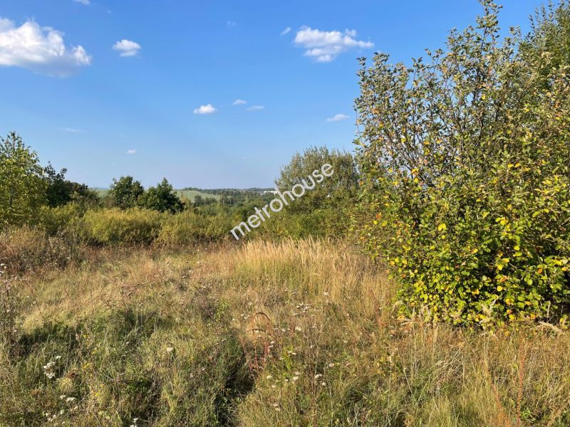 Działka na sprzedaż, Kielecki, Dębska Wola