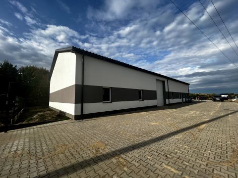 Wynajem Magazyn Solec, pow. piaseczyński