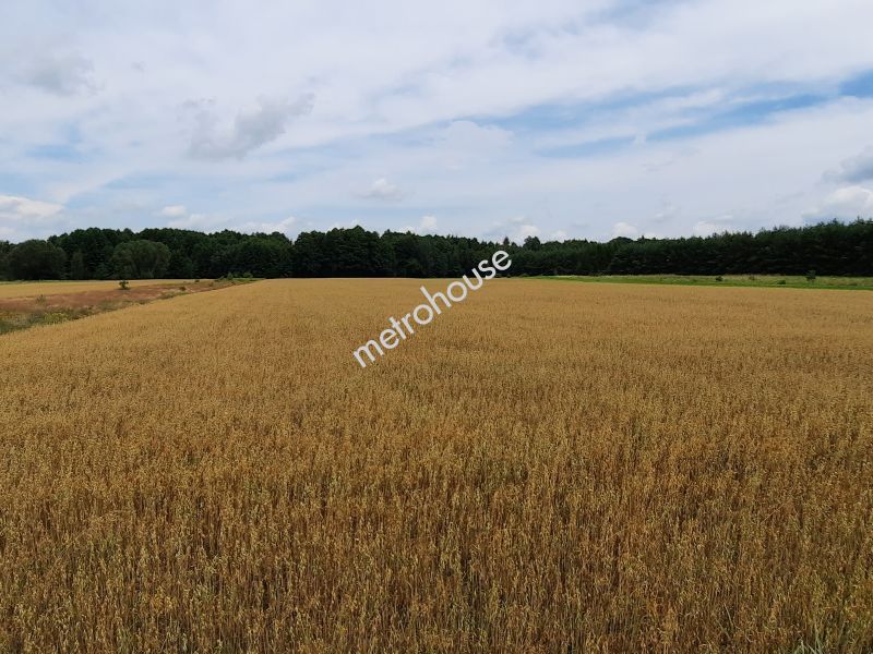 Działka na sprzedaż, Siedlecki, Żeliszew Podkościelny