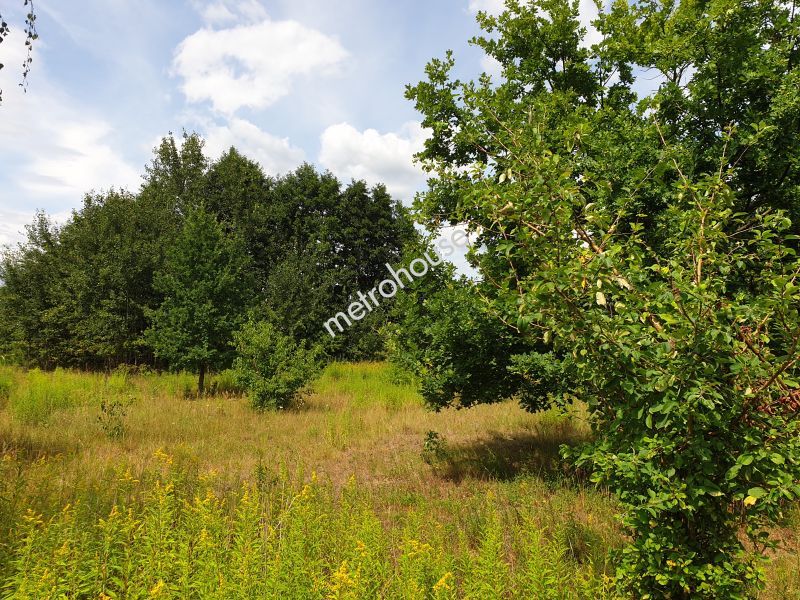 Działka na sprzedaż, Miński, Halinów, Cisie