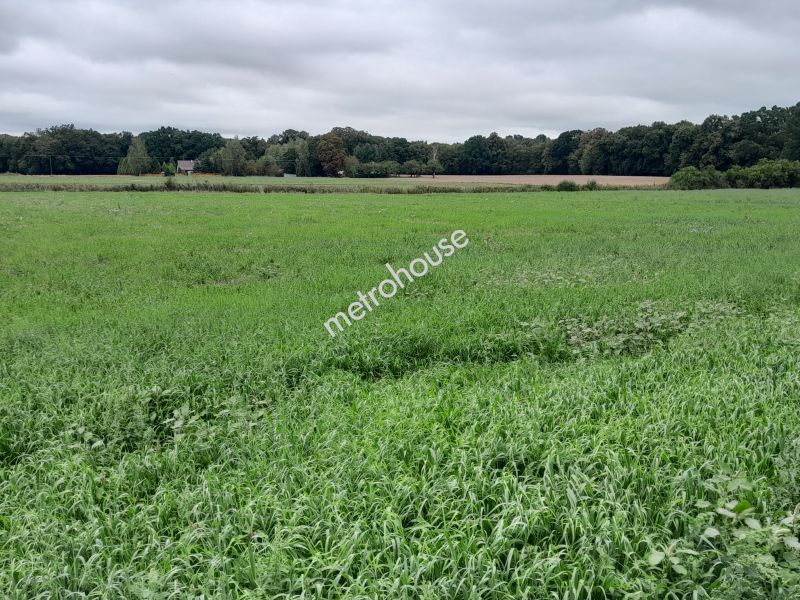 Działka na sprzedaż, Płocki, Podgórze-Parcele