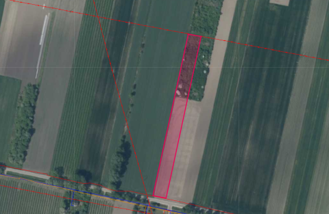 Sprzedaż Działka Kożuszki Kolonia, Sochaczew