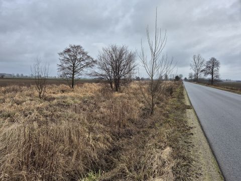 Sprzedaż Działka Ujeździec Wielki, pow. trzebnicki