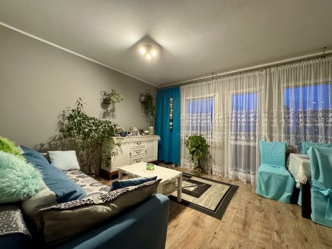 Sprzedaż Mieszkanie Orzepowicka, Rybnik