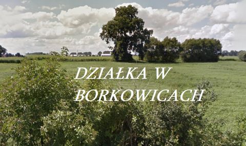 Sprzedaż Działka Mosina, pow. poznański