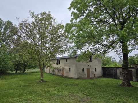Sprzedaż Gospodarstwo Rogowo, pow. toruński