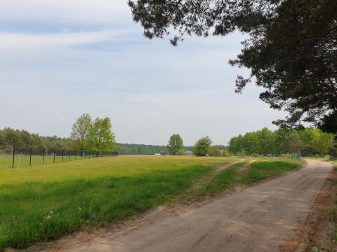 Sprzedaż Działka Choinek, pow. gostyniński