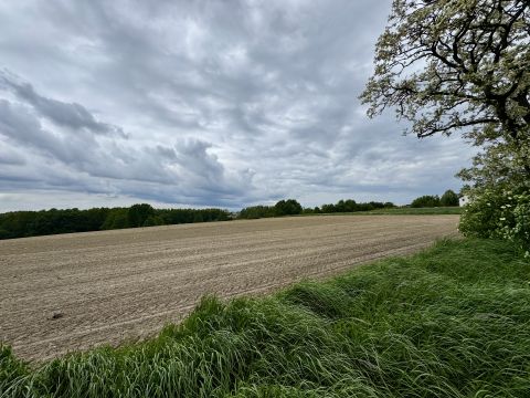Sprzedaż Działka Jana III Sobieskiego, Czernica, pow. rybnicki