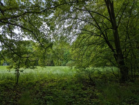 Sprzedaż Działka Maruszewiec, pow. radzyński