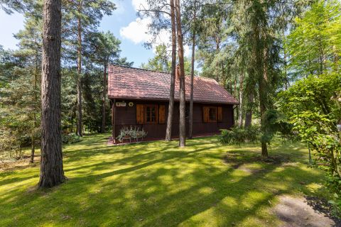Sprzedaż Dom Borsuki-Kolonia, pow. pułtuski