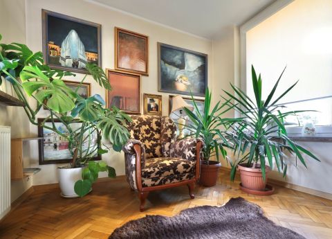 Sprzedaż Dom Tatrzańska, Uroczysko, Kielce