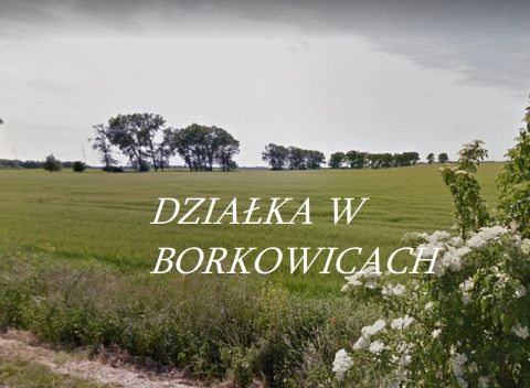 Sprzedaż Działka Mosina, pow. poznański