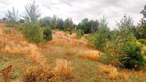 Sprzedaż Działka Feliksów, pow. Skierniewice