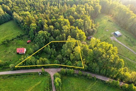 Sprzedaż Działka Jelonek, pow. olecki