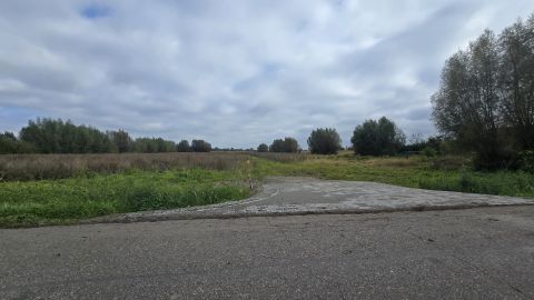 Sprzedaż Działka Krzewsk, pow. elbląski