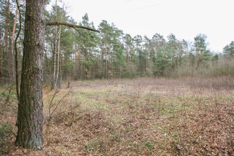 Sprzedaż Działka Rokitnica, pow. łaski