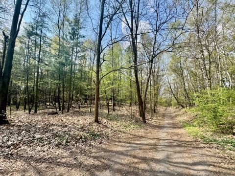 Sprzedaż Działka Żeromskiego, Rybnik
