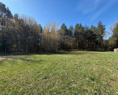 Sprzedaż Działka Spacerowa, Ogrodzieniec, pow. zawierciański