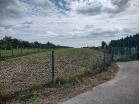 Sprzedaż Działka Cicha, Chynów, pow. grójecki